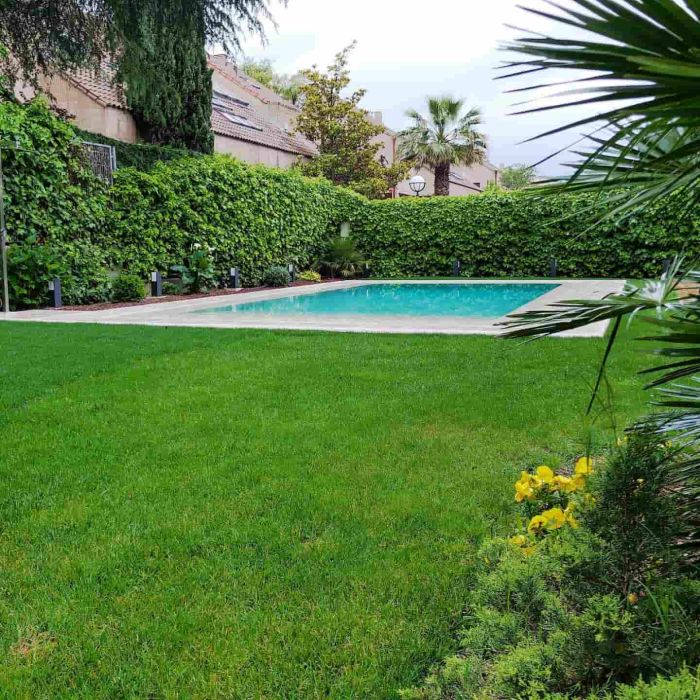 Rehabilitación de piscina desbordante en Pozuelo Madrid